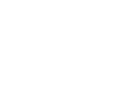 Axis Securities